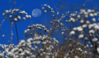 Sarıkamış’ta Soğuk Hava Etkili: Sıfırın Altında 6 Derece