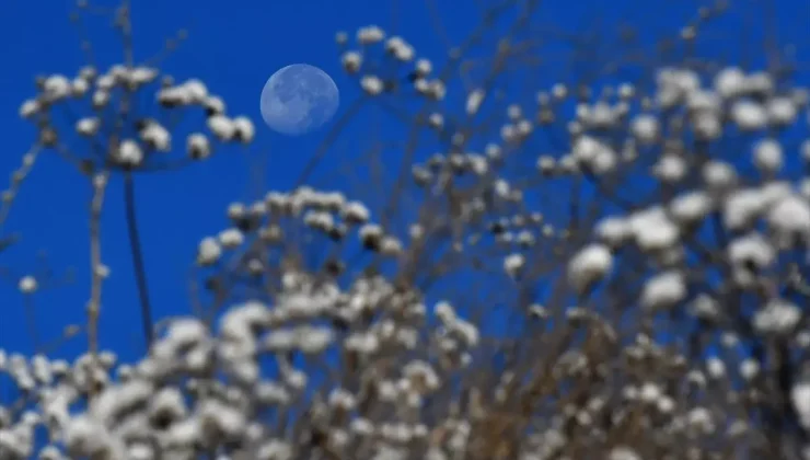 Sarıkamış’ta Soğuk Hava Etkili: Sıfırın Altında 6 Derece